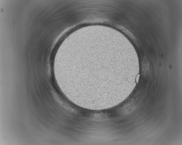 X0000079340584200612151910