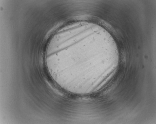 X0000079340586200612151910