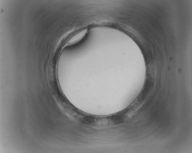 X0000079340587200612151910