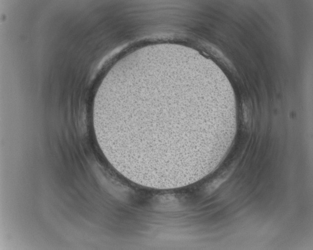 X0000079340588200612151910