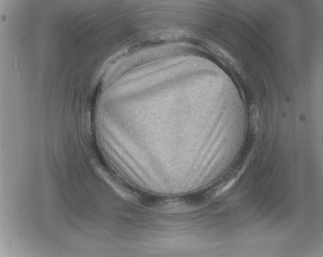 X0000079340589200612151910