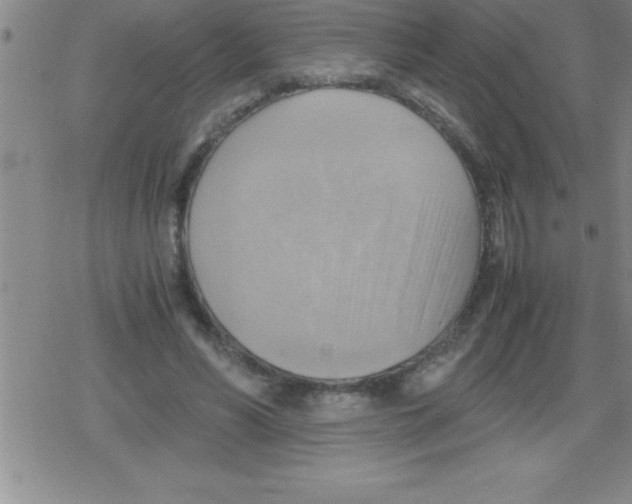 X0000079340590200612151910