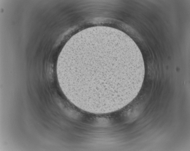 X0000079340592200612151910