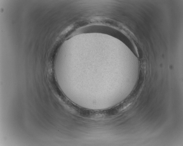 X0000079340593200612151910