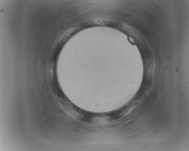 X0000079340595200612151910