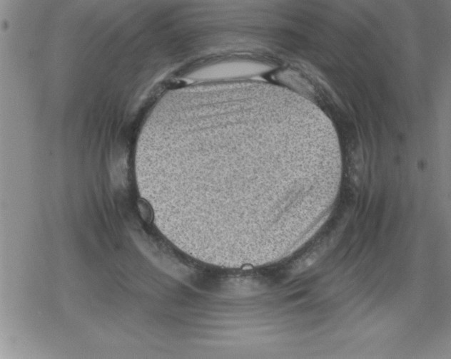 X0000079340596200612151910