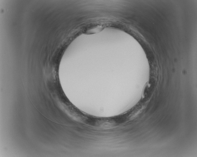 X0000079340597200612151910