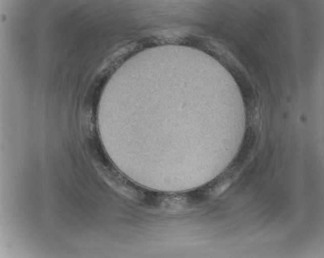 X0000079340599200612151910