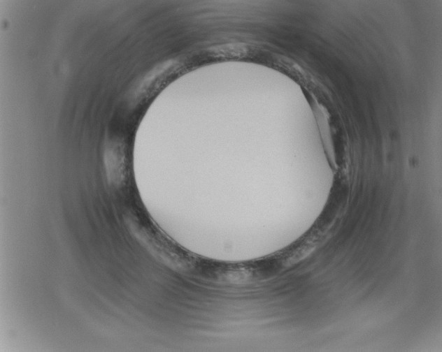 X0000079340600200612151910