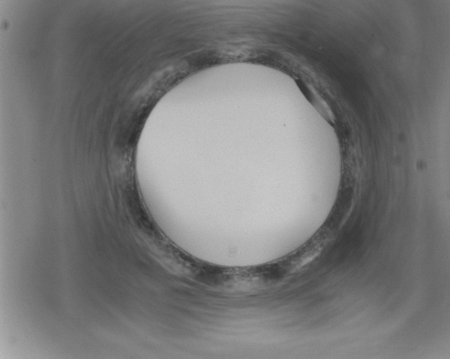 X0000079340601200612151910