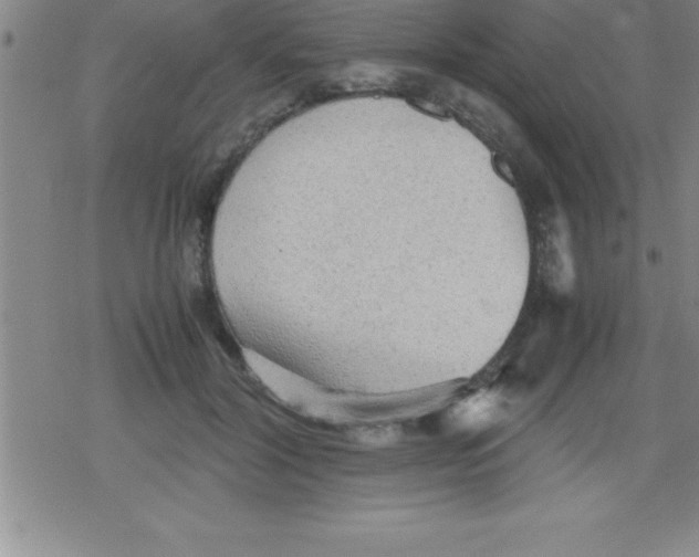 X0000079340604200612151909