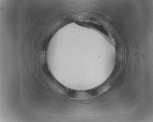 X0000079340605200612151909