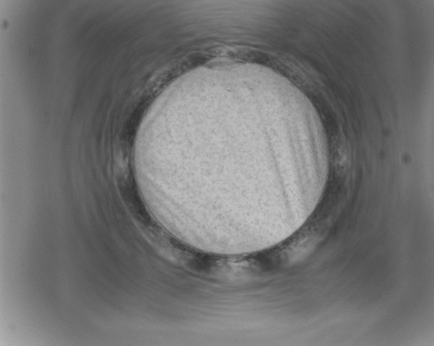 X0000079340607200612151909