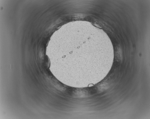 X0000079340608200612151909