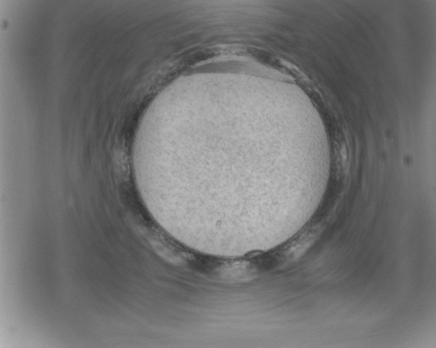 X0000079340609200612151909