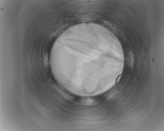 X0000079340610200612151909