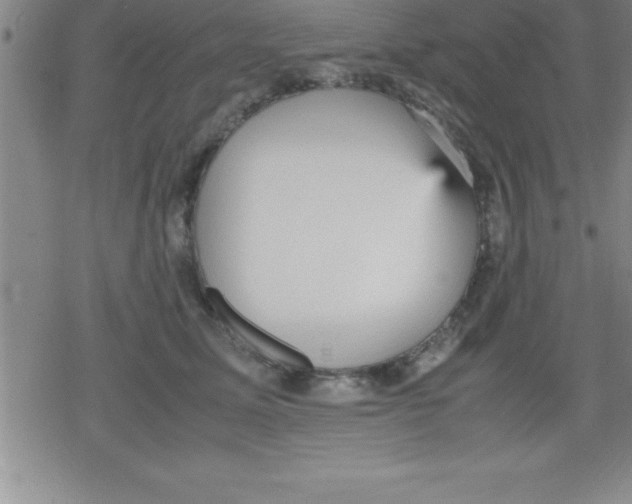 X0000079340611200612151909