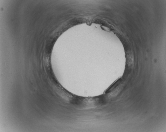 X0000079340613200612151909