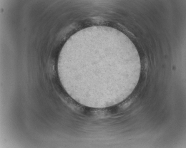 X0000079340615200612151909