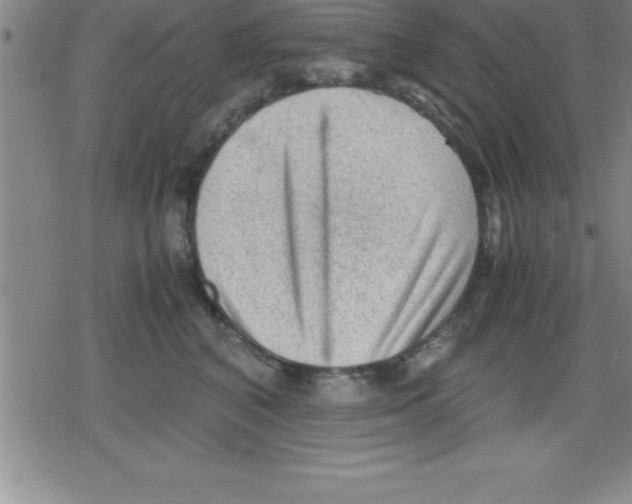 X0000079340616200612151909