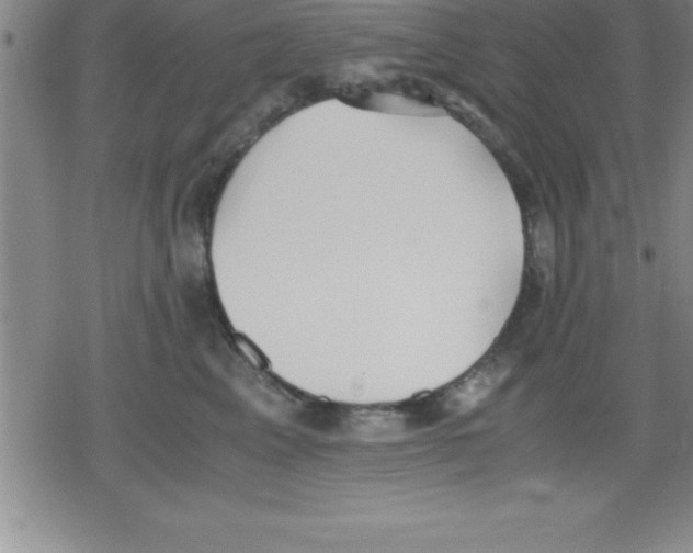 X0000079340617200612151909