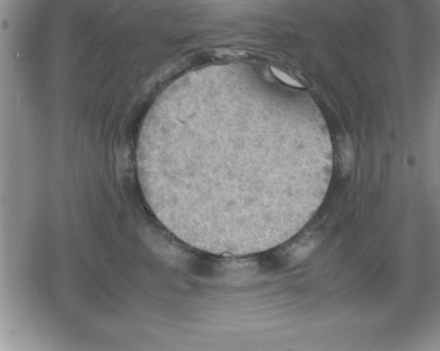 X0000079340619200612151909