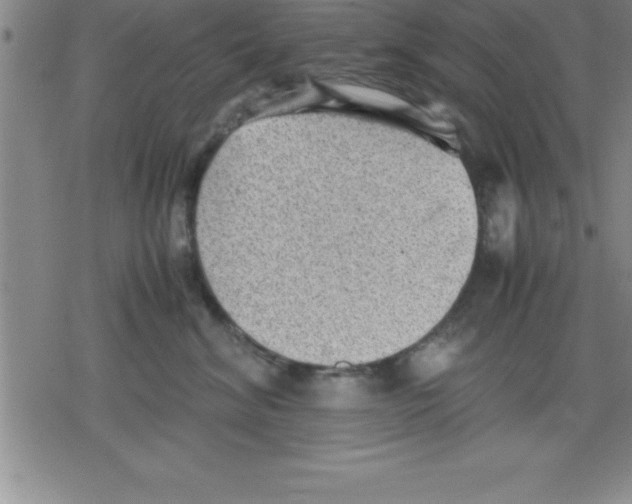 X0000079340620200612151909