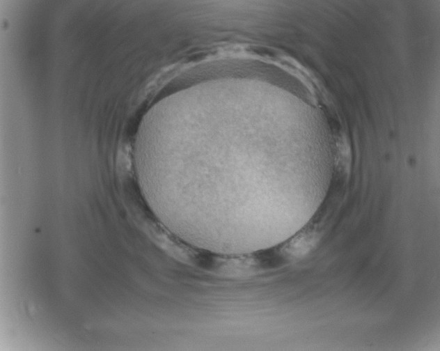 X0000079340621200612151909