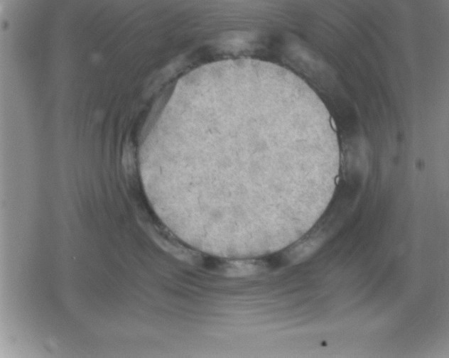 X0000079340623200612151909