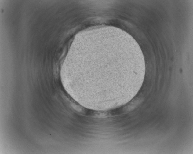 X0000079340624200612151909