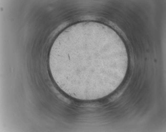 X0000079340625200612151908