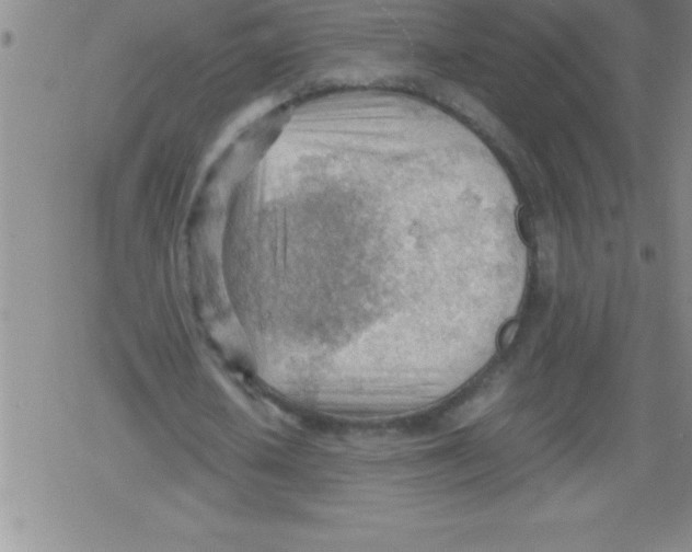 X0000079340626200612151908