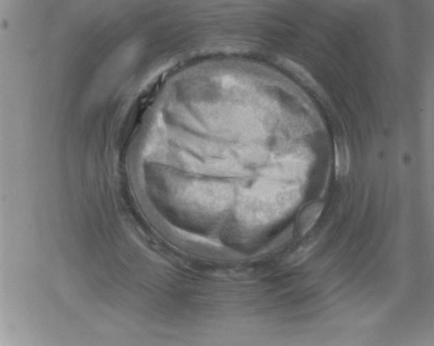 X0000079340627200612151908