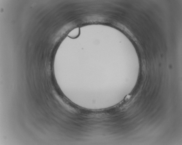 X0000079340629200612151908