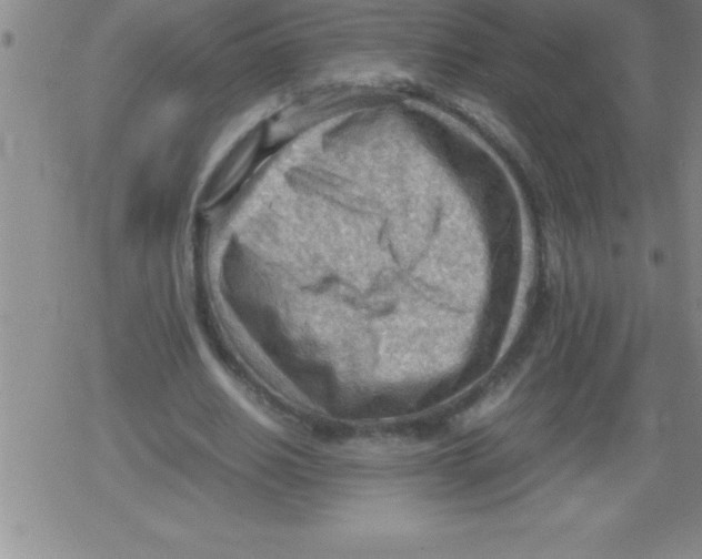 X0000079340630200612151908