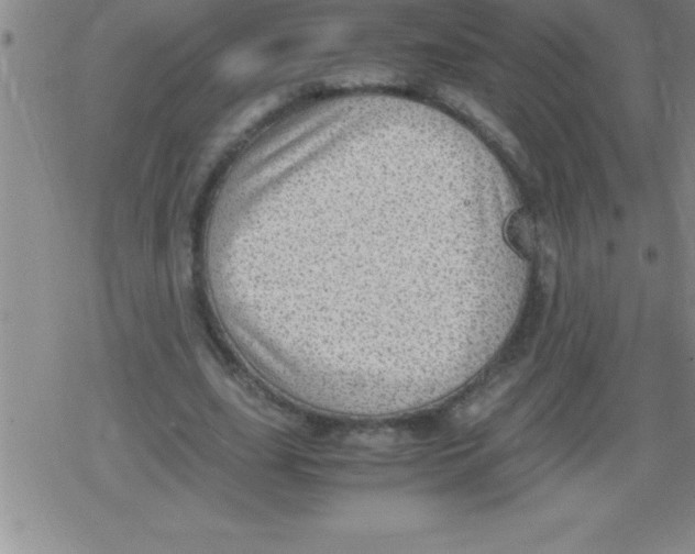 X0000079340631200612151908