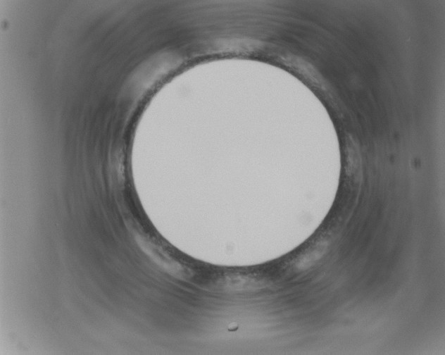 X0000079340632200612151908