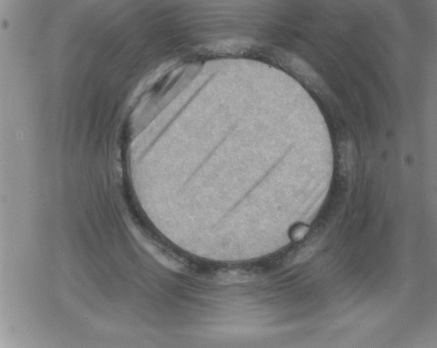 X0000079340634200612151909