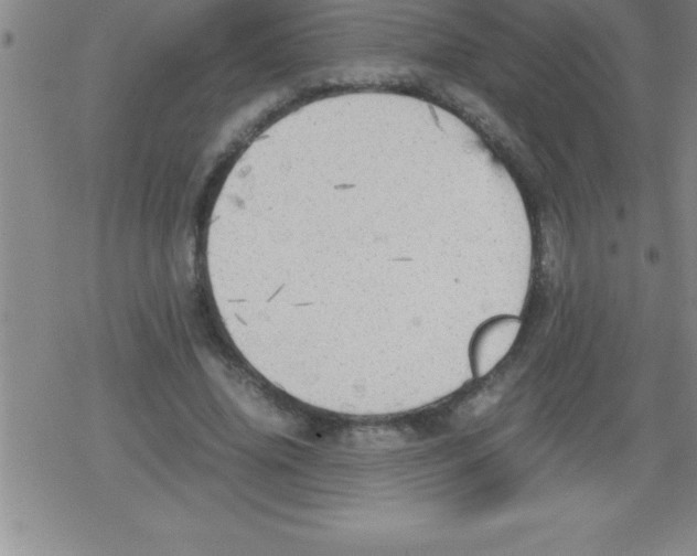 X0000079340636200612151909