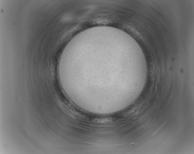 X0000079340639200612151909