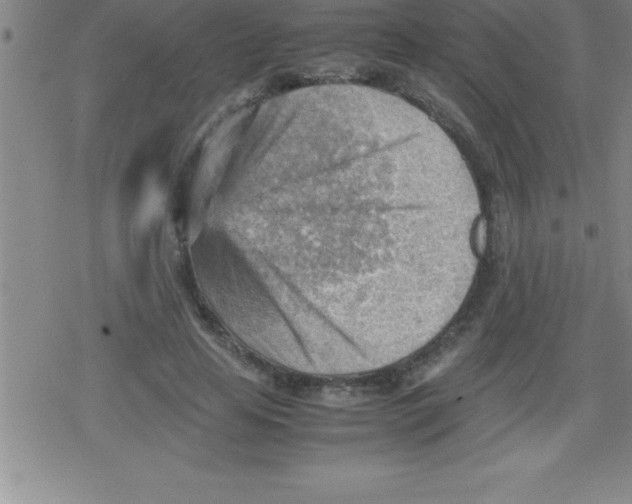 X0000079340641200612151909