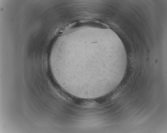 X0000079340642200612151909