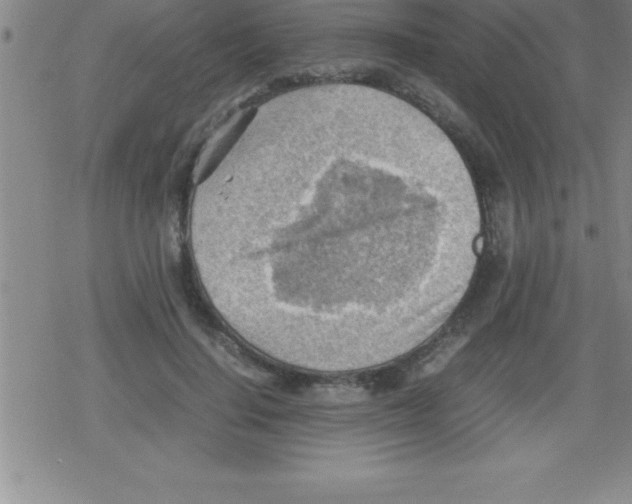 X0000079340644200612151909