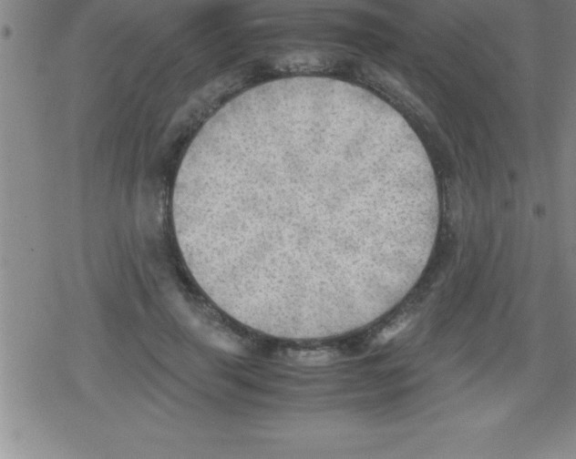 X0000079340645200612151909