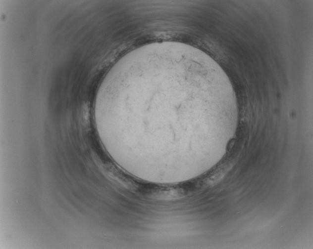 X0000079340646200612151909