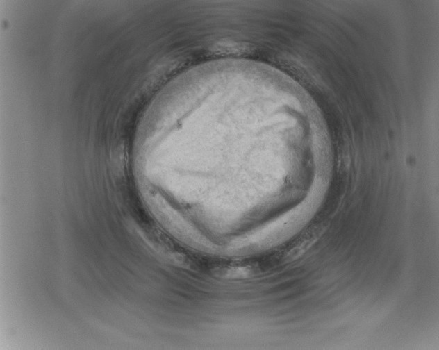 X0000079340647200612151909