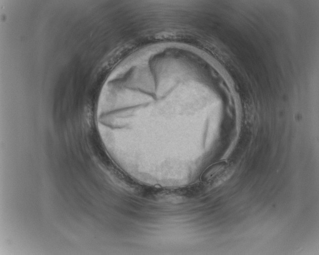 X0000079340648200612151909