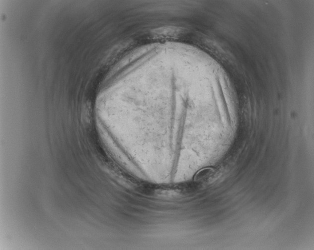 X0000079340649200612151909