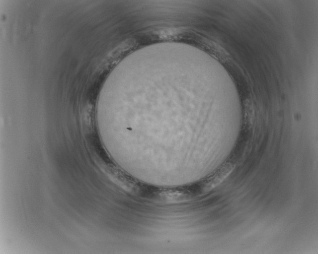 X0000079340650200612151909