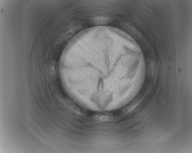 X0000079340655200612151909